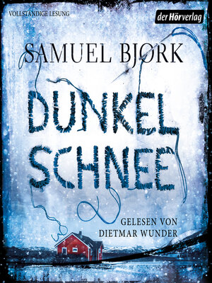 cover image of Dunkelschnee